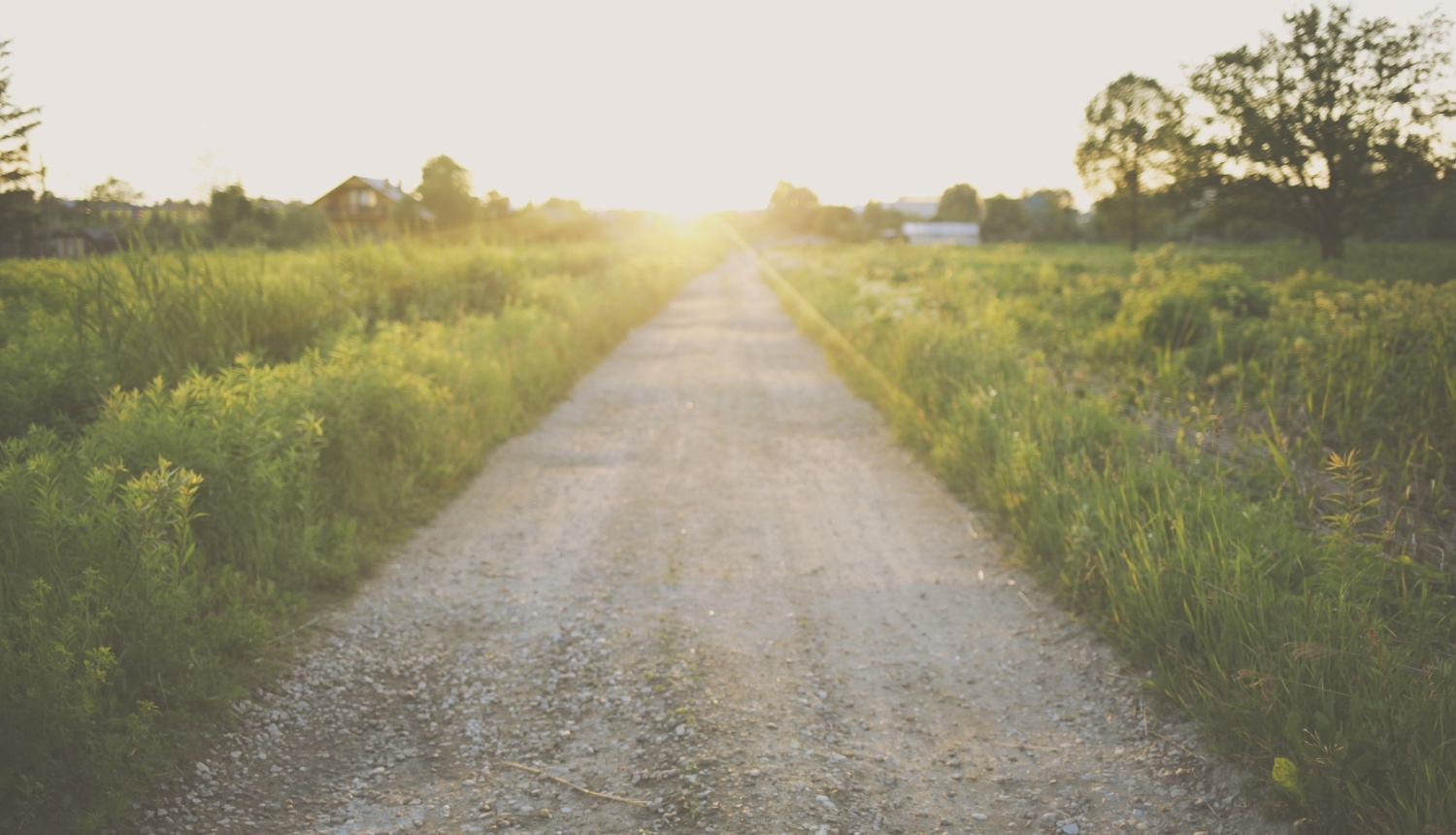 Zemes ceļš saullēktā, vasarā.